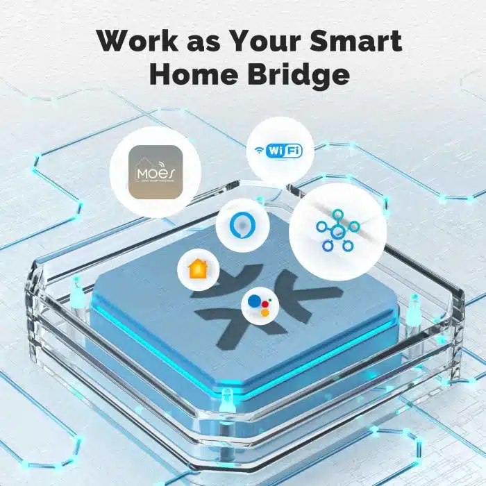 MOES Matter Switch Module as Smart Bridge