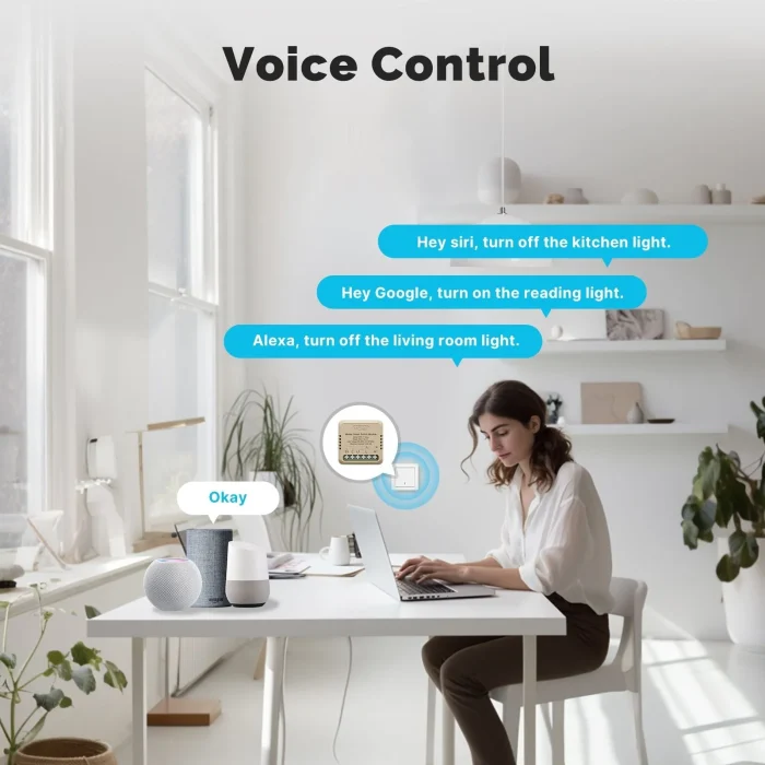 MOES Matter Smart Switch Module Voice Control Alexa Google Siri